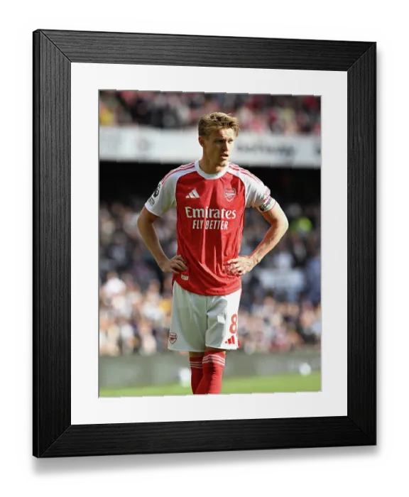 Framed Print : Arsenal FC v Newcastle United FC - Premier League Framed Print : Arsenal FC v Newcastle United FC - Premier League