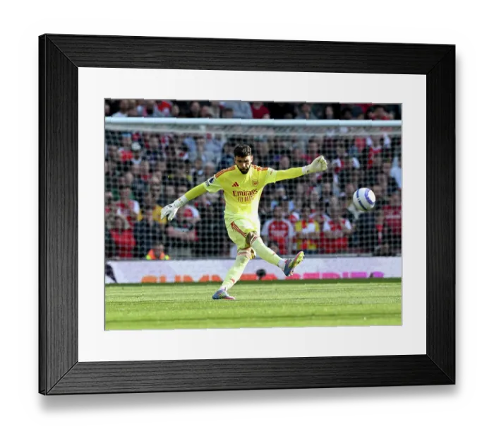 Framed Print : Arsenal FC v Newcastle United FC - Premier League Framed Print : Arsenal FC v Newcastle United FC - Premier League