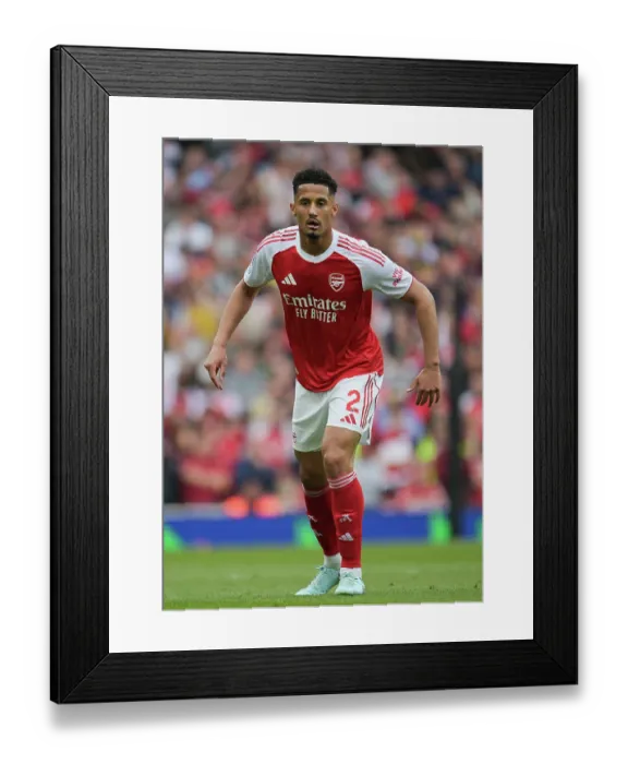 Framed Print : Arsenal FC v Newcastle United FC - Premier League Framed Print : Arsenal FC v Newcastle United FC - Premier League