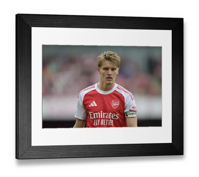 Framed Print : Arsenal FC v Newcastle United FC - Premier League Framed Print : Arsenal FC v Newcastle United FC - Premier League
