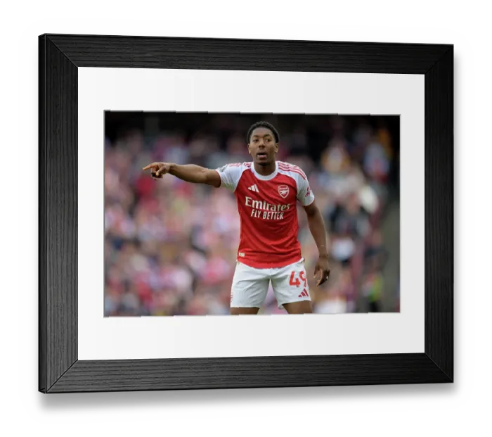 Framed Print : Arsenal FC v Newcastle United FC - Premier League Framed Print : Arsenal FC v Newcastle United FC - Premier League