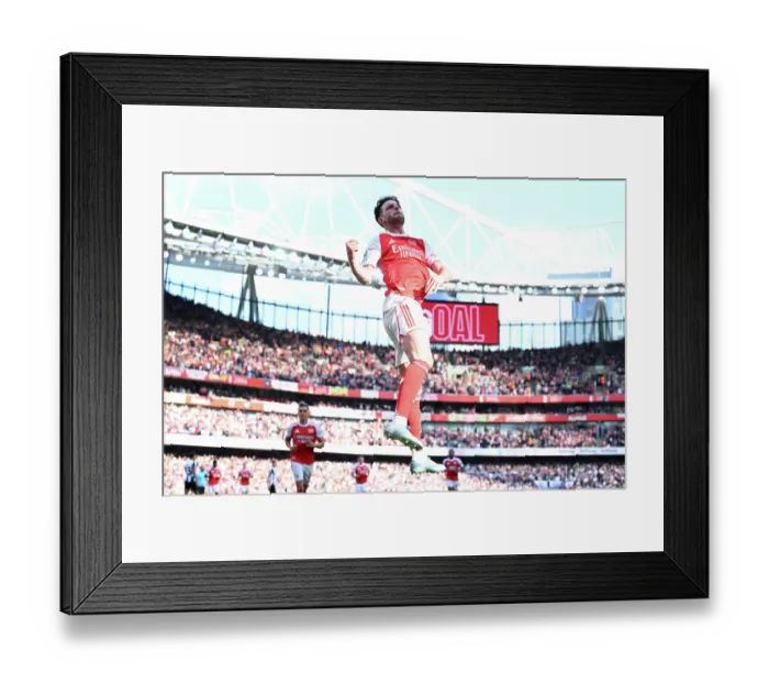 Framed Print : Arsenal FC v Newcastle United FC - Premier League Framed Print : Arsenal FC v Newcastle United FC - Premier League