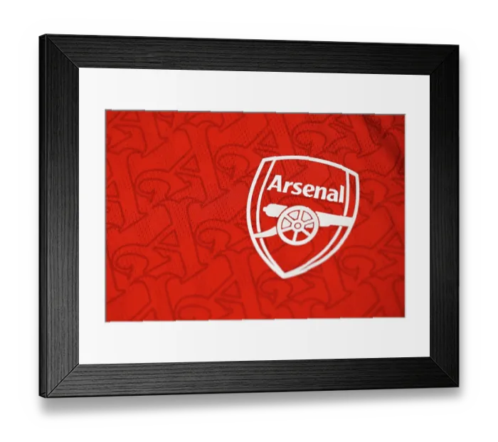 Framed Print : Arsenal FC v Newcastle United FC - Premier League Framed Print : Arsenal FC v Newcastle United FC - Premier League