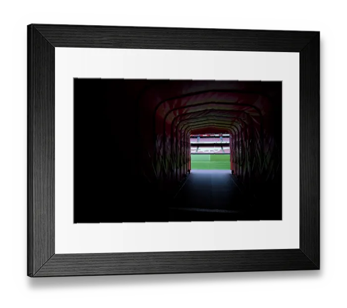Framed Print : Arsenal FC v Newcastle United FC - Premier League Framed Print : Arsenal FC v Newcastle United FC - Premier League