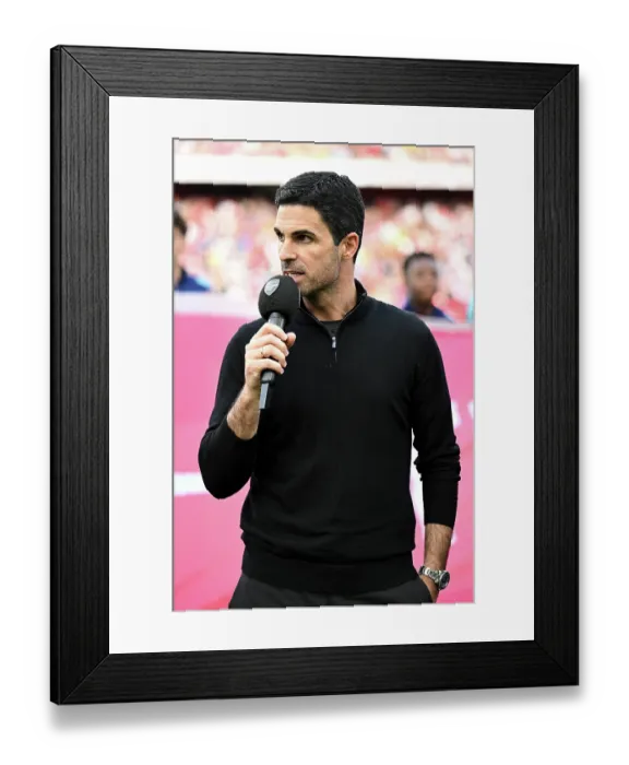 Framed Print : Arsenal FC v Newcastle United FC - Premier League Framed Print : Arsenal FC v Newcastle United FC - Premier League