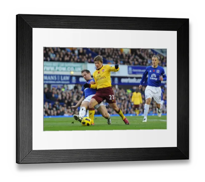 Framed Print : Andrey Arshavin (Arsenal) Phil Jagielka (Everton). Everton 1: 2 Arsenal Framed Print : Andrey Arshavin (Arsenal) Phil Jagielka (Everton). Everton 1: 2 Arsenal
