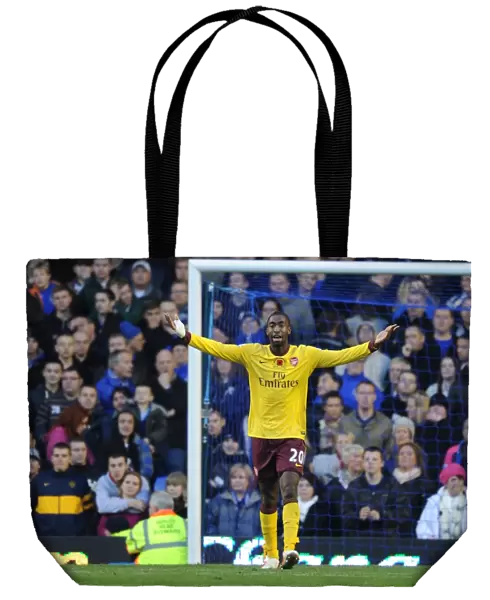 Johan Djourou (Arsenal). Everton 1: 2 Arsenal, Barclays Premier League, Goodison Park