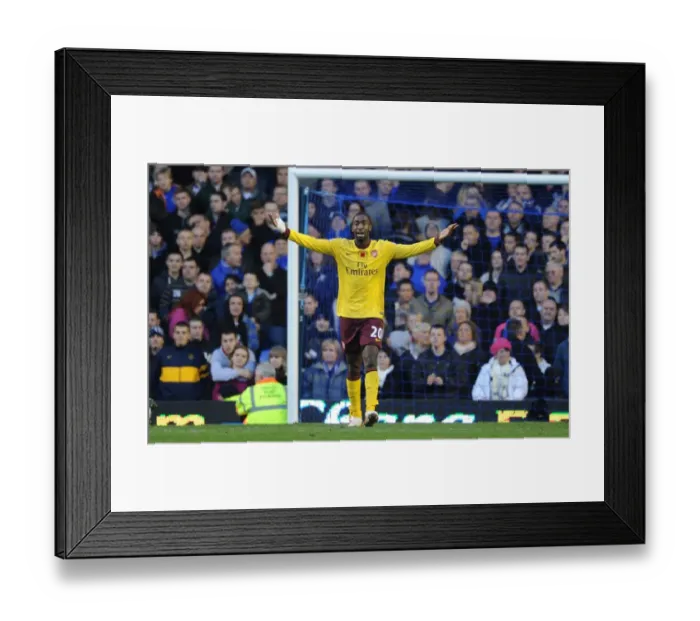 Framed Print : Johan Djourou (Arsenal). Everton 1: 2 Arsenal, Barclays Premier League, Goodison Park Framed Print : Johan Djourou (Arsenal). Everton 1: 2 Arsenal, Barclays Premier League, Goodison Park