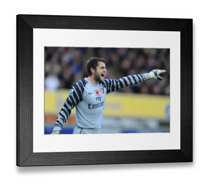 Framed Print : Fabianski's Victory: Arsenal's 2-1 Win at Everton, Premier League 2010-11