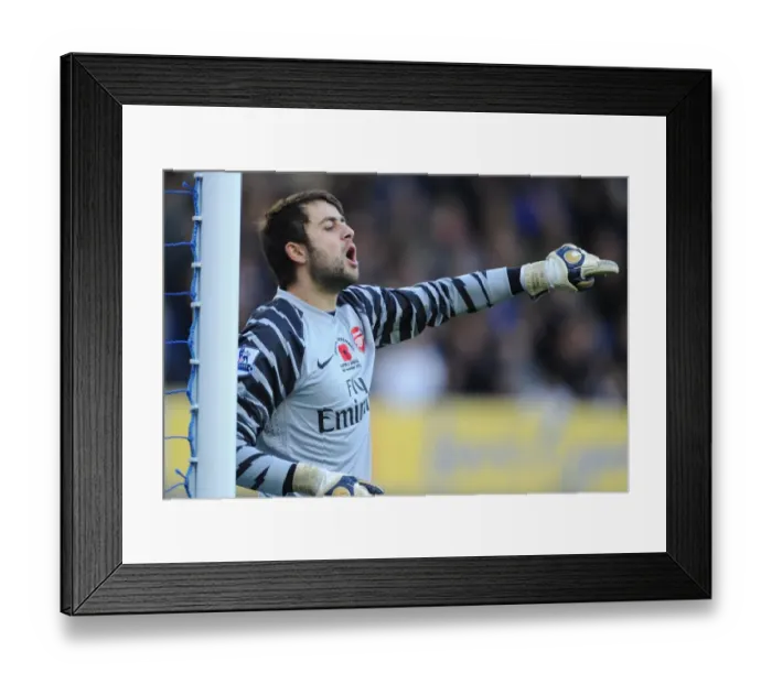 Framed Print : Fabianski's Glory: Arsenal's Thrilling 2-1 Win over Everton, Premier League 2010-11 Framed Print : Fabianski's Glory: Arsenal's Thrilling 2-1 Win over Everton, Premier League 2010-11