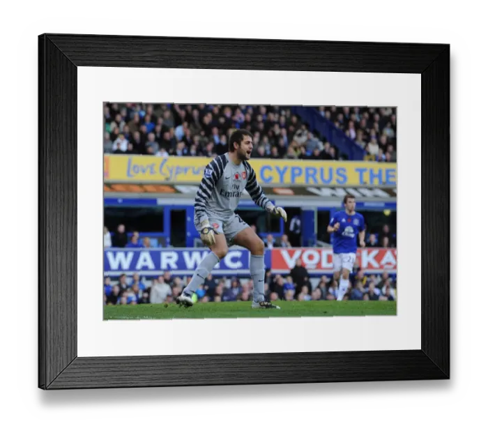 Framed Print : Arsenal's Glory: Fabianski's Heroics in Arsenal's 2-1 Win over Everton, 2010 Premier League Framed Print : Arsenal's Glory: Fabianski's Heroics in Arsenal's 2-1 Win over Everton, 2010 Premier League