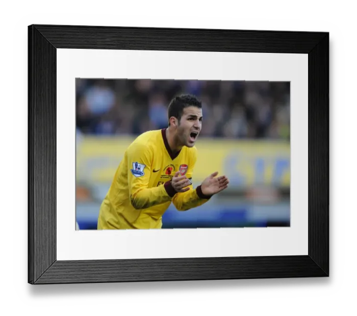 Framed Print : Cesc Fabregas (Arsenal). Everton 1: 2 Arsenal, Barclays Premier League, Goodison Park Framed Print : Cesc Fabregas (Arsenal). Everton 1: 2 Arsenal, Barclays Premier League, Goodison Park