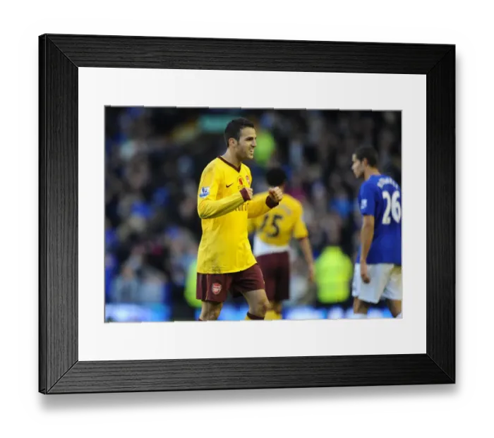 Framed Print : Cesc Fabregas: Arsenal's Leader in 1-2 Victory over Everton (14 / 11 / 2010) Framed Print : Cesc Fabregas: Arsenal's Leader in 1-2 Victory over Everton (14 / 11 / 2010)