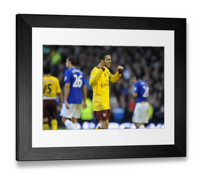 Framed Print : Cesc Fabregas: Arsenal's Leader in Everton Victory, Premier League 2010