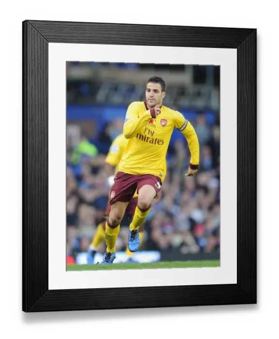 Framed Print : Cesc Fabregas: Arsenal's Leader in Everton Victory, Premier League 2010 Framed Print : Cesc Fabregas: Arsenal's Leader in Everton Victory, Premier League 2010