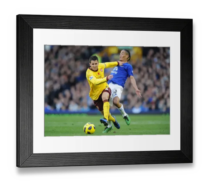 Framed Print : Fabregas and Pienaar Clash: Arsenal's Victory Over Everton in the Premier League, 2010 Framed Print : Fabregas and Pienaar Clash: Arsenal's Victory Over Everton in the Premier League, 2010
