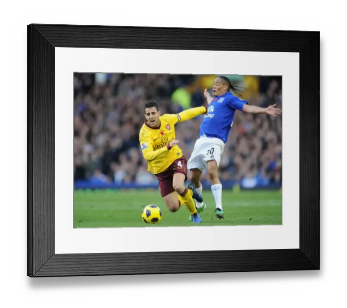 Framed Print : Cesc Fabregas (Arsenal) Steven Pienaar (Everton). Everton 1: 2 Arsenal, Barclays Premier League Framed Print : Cesc Fabregas (Arsenal) Steven Pienaar (Everton). Everton 1: 2 Arsenal, Barclays Premier League