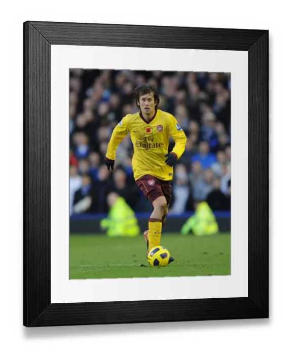 Framed Print : Tomas Rosicky Scores the Winning Goal: Arsenal 2-1 Everton, Premier League 2010-11
