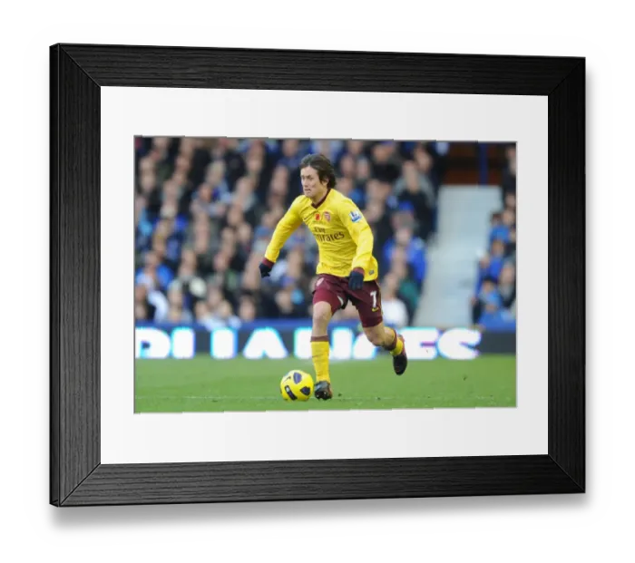 Framed Print : Tomas Rosicky (Arsenal). Everton 1: 2 Arsenal, Barclays Premier League, Goodison Park Framed Print : Tomas Rosicky (Arsenal). Everton 1: 2 Arsenal, Barclays Premier League, Goodison Park