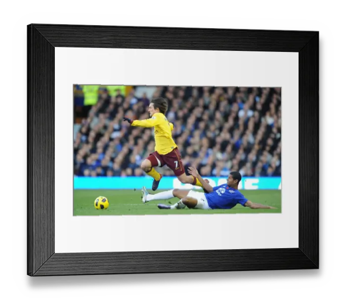Framed Print : Rosicky Sparks Arsenal Victory Over Everton: 1-2 Framed Print : Rosicky Sparks Arsenal Victory Over Everton: 1-2