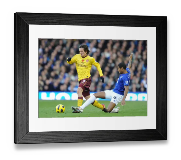 Framed Print : Tomas Rosicky (Arsenal) Jermaine Beckford (Everton). Everton 1: 2 Arsenal
