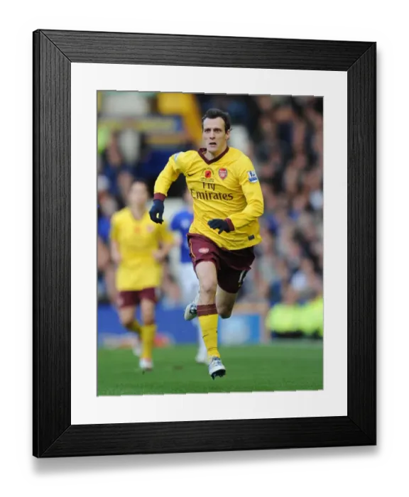 Framed Print : Sebastien Squillaci's Game-Winning Performance: Arsenal's 2-1 Victory over Everton, 2010 Premier League