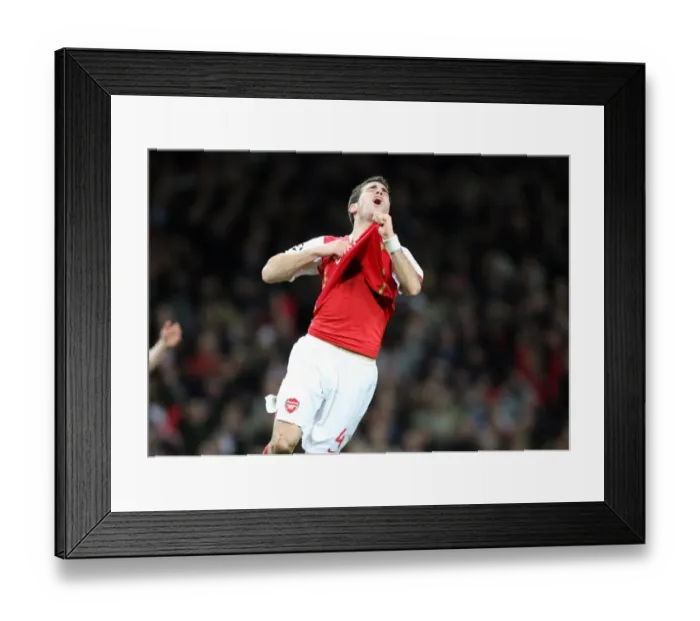 Framed Print : Cesc Fabregas (Arsenal) shows his frustration