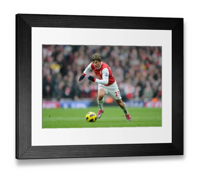 Framed Print : Andrey Arshavin (Arsenal). Arsenal 2: 3 Tottenham Hotspur. Barclays Premier League