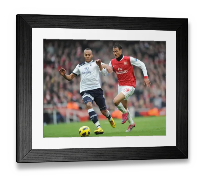 Framed Print : Marouane Chamakh (Arsenal) Younes Kaboul (Tottenham). Arsenal 2: 3 Tottenham Hotspur