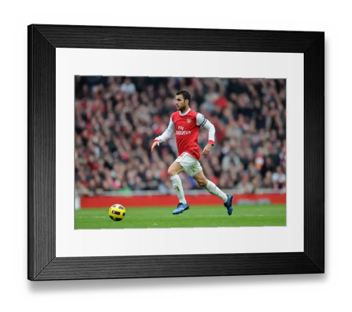 Framed Print : Cesc Fabregas Heartbreaking Performance: Arsenal 2-3 Tottenham Hotspur, Barclays Premier League, Emirates Stadium, 2010-11