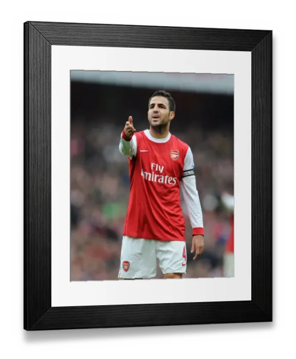 Framed Print : Cesc Fabregas (Arsenal). Arsenal 2: 3 Tottenham Hotspur. Barclays Premier League