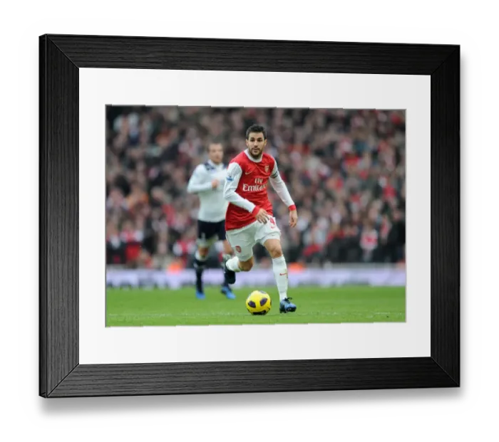 Framed Print : Heartbreaking Performance: Arsenal 2-3 Tottenham Hotspur - Cesc Fabregas Emirates Struggle (2010)