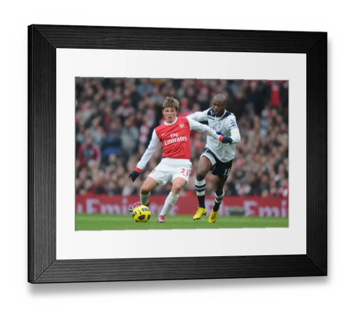 Framed Print : Andrey Arshavin (Arsenal) William Gallas (Tottenham). Arsenal 2: 3 Tottenham Hotspur