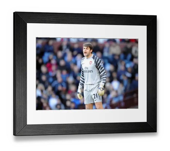 Framed Print : Arsenal's Lukasz Fabianski Shines in 4-2 Barclays Premier League Victory over Aston Villa