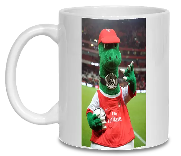Gunner. Arsenal 2: 0 Wigan Athletic. Carling Cup, Quarter Final. Emirates Stadium