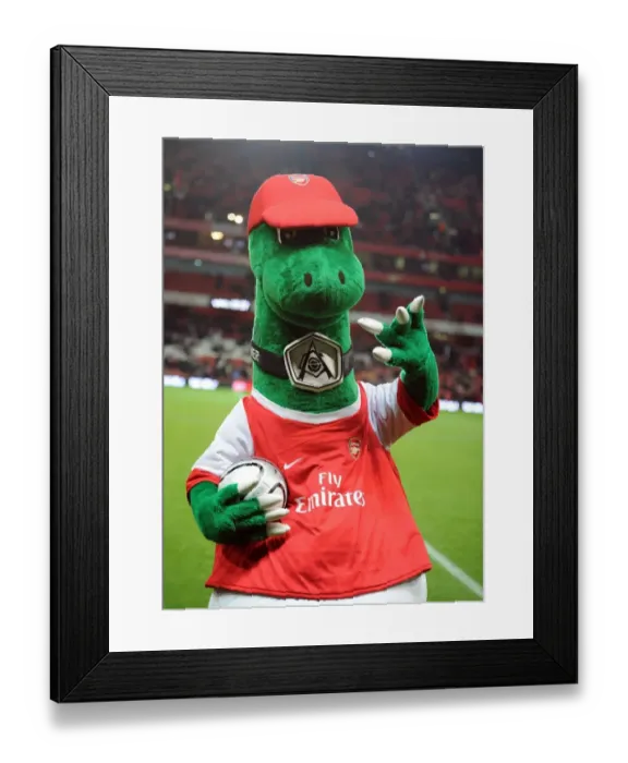 Framed Print : Gunner. Arsenal 2: 0 Wigan Athletic. Carling Cup, Quarter Final. Emirates Stadium