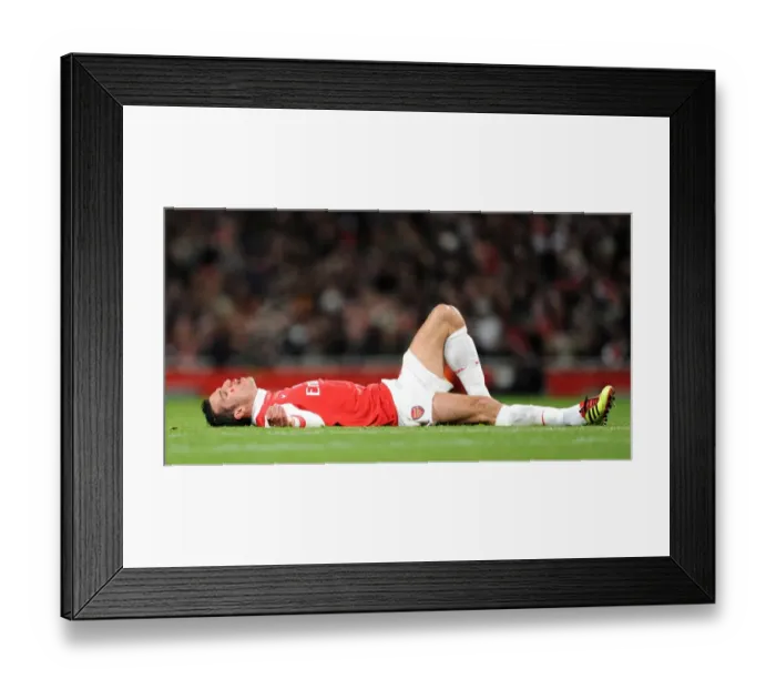 Framed Print : Robin van Persie (Arsenal). Arsenal 2: 1 Fulham. Barclays Premier League Framed Print : Robin van Persie (Arsenal). Arsenal 2: 1 Fulham. Barclays Premier League