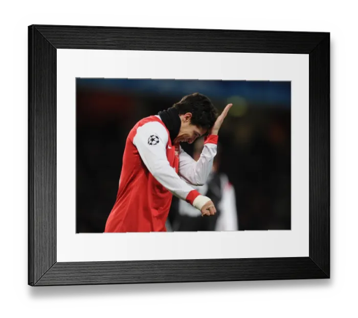 Framed Print : Arsenal's Samir Nasri Shines in 3-1 UEFA Champions League Victory over Partizan Belgrade at Emirates Stadium Framed Print : Arsenal's Samir Nasri Shines in 3-1 UEFA Champions League Victory over Partizan Belgrade at Emirates Stadium
