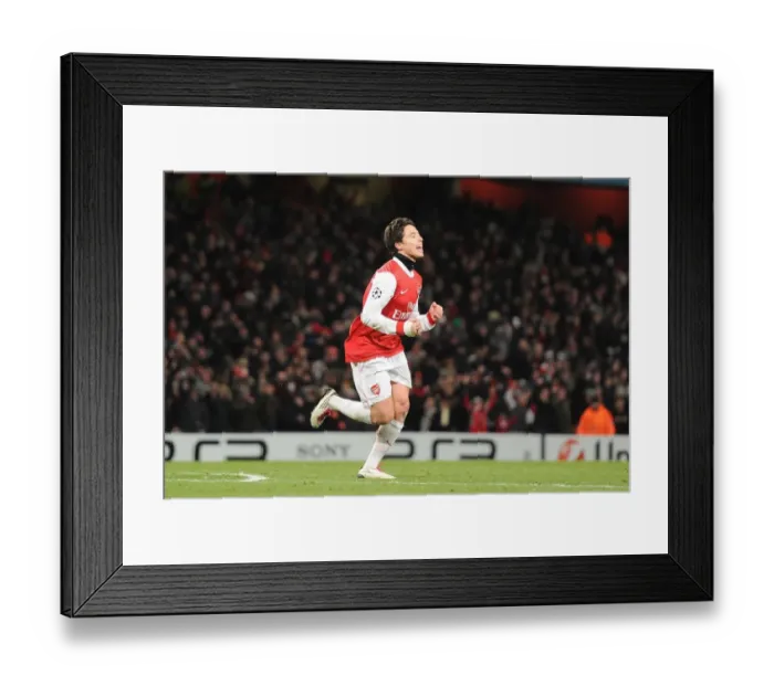 Framed Print : Samir Nasri celebrates scoring the 3rd Arsenal goal. Arsenal 3: 1 Partizan Belgrade Framed Print : Samir Nasri celebrates scoring the 3rd Arsenal goal. Arsenal 3: 1 Partizan Belgrade