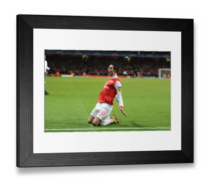 Framed Print : Robin van Persie's Thrilling Penalty Goal: Arsenal's 3-1 Victory over Partizan Belgrade in the UEFA Champions League Framed Print : Robin van Persie's Thrilling Penalty Goal: Arsenal's 3-1 Victory over Partizan Belgrade in the UEFA Champions League