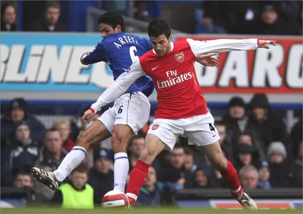Cesc Fabregas (Arsenal) Mikel Arteta (Everton)