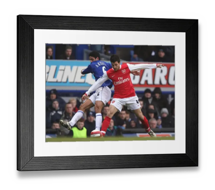 Framed Print : Cesc Fabregas (Arsenal) Mikel Arteta (Everton)