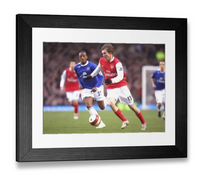Framed Print : Alex Hleb (Arsenal) Manuel Fernandes (Everton) Framed Print : Alex Hleb (Arsenal) Manuel Fernandes (Everton)