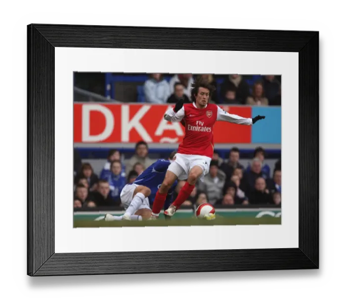 Framed Print : Clash of Stars: Rosicky vs. Neville in the Intense Rivalry of Everton vs. Arsenal, Barclays Premiership, 2007
