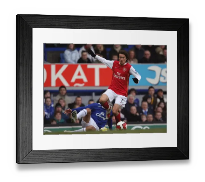 Framed Print : Tomas Rosicky (Arsenal) Phil Neville (Everton) Framed Print : Tomas Rosicky (Arsenal) Phil Neville (Everton)