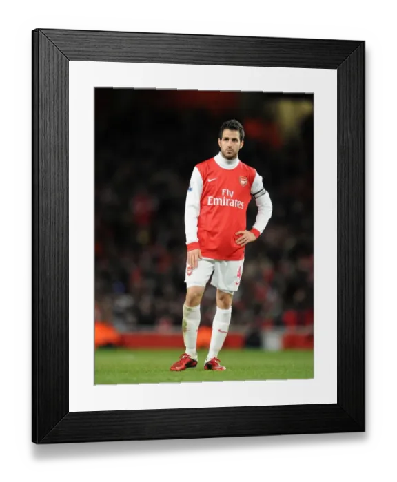 Framed Print : Cesc Fabregas (Arsenal). Arsenal 3: 1 Chelsea. Barclays Premier League. Emirates Stadium Framed Print : Cesc Fabregas (Arsenal). Arsenal 3: 1 Chelsea. Barclays Premier League. Emirates Stadium