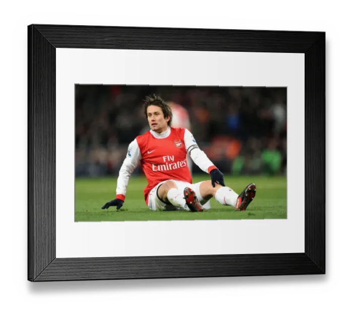Framed Print : Tomas Rosicky (Arsenal). Arsenal 3: 1 Chelsea. Barclays Premier League. Emirates Stadium Framed Print : Tomas Rosicky (Arsenal). Arsenal 3: 1 Chelsea. Barclays Premier League. Emirates Stadium