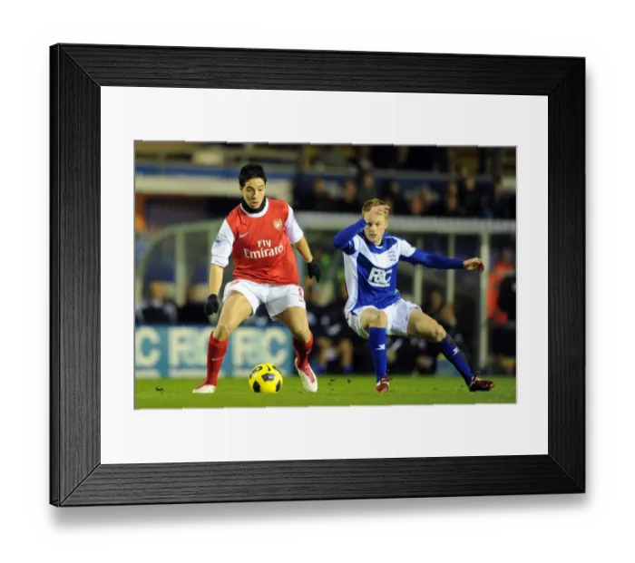 Framed Print : Samir Nasri (Arsenal) Sebastian Larsson (Birmingham). Birmingham City 0: 3 Arsenal