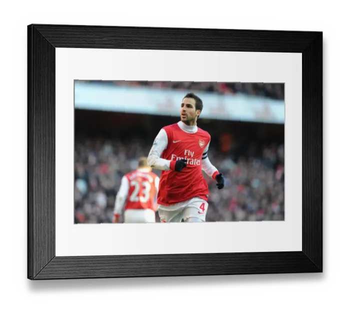 Framed Print : Cesc Fabregas (Arsenal). Arsenal 1: 1 Leeds United, FA Cup 3rd Round, Emirates Stadium