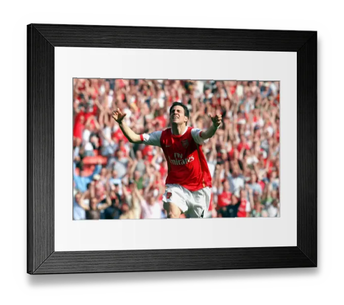 Framed Print : Cesc Fabregas's Goal: Arsenal's 2-1 Victory over Bolton Wanderers, FA Premiership, Emirates Stadium (04 / 14 / 07)